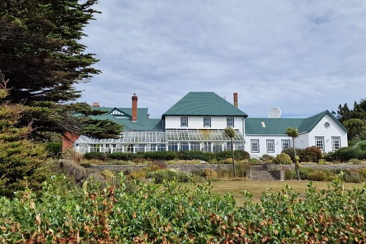 Falkland Islands Shared Tour Sightseeing with Penguins