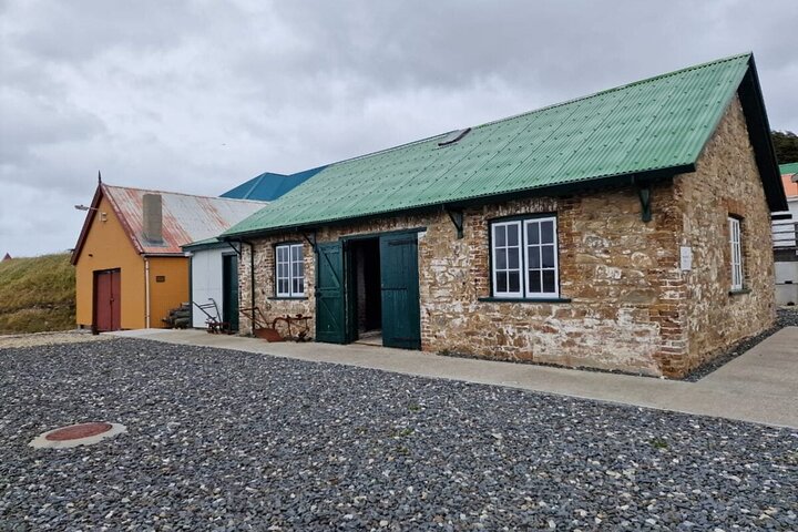 Falkland Islands Shared Tour Sightseeing with Penguins