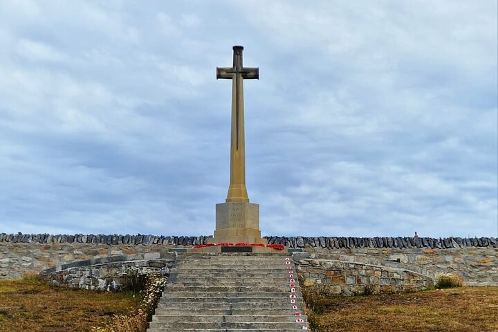 Falkland Islands Shared Tour Sightseeing with Penguins