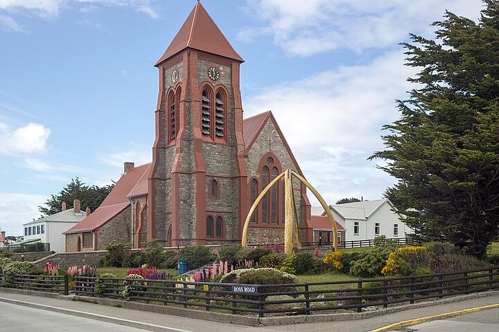 Falkland Islands Shared Tour Sightseeing with Penguins