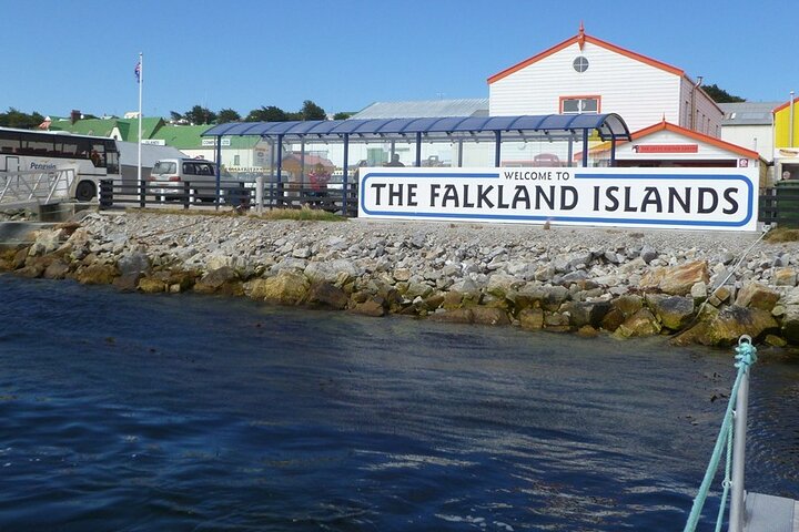 Falkland Islands Shared Tour Sightseeing with Penguins