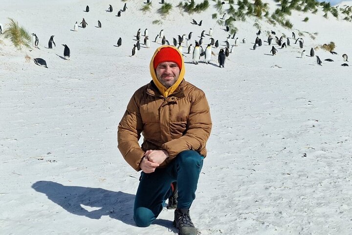 Falkland Islands Shared Tour Sightseeing with Penguins