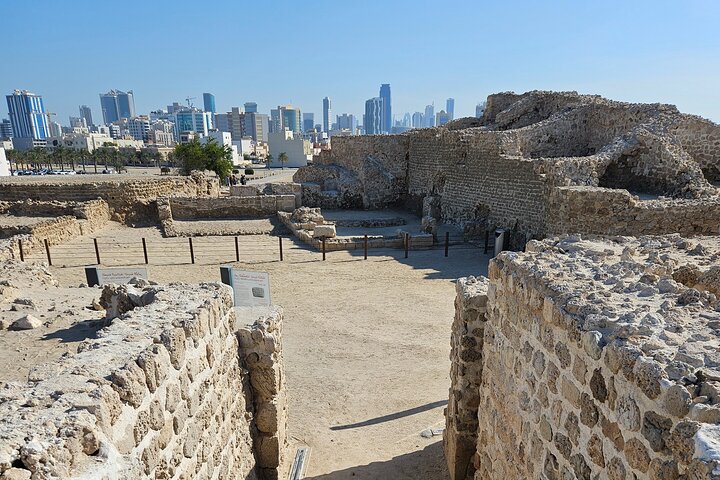 Bahrain City and Desert Tour