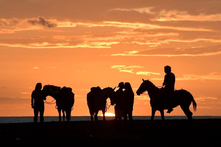 Horseback Riding in Puerto Carrillo: Beach & Jungle