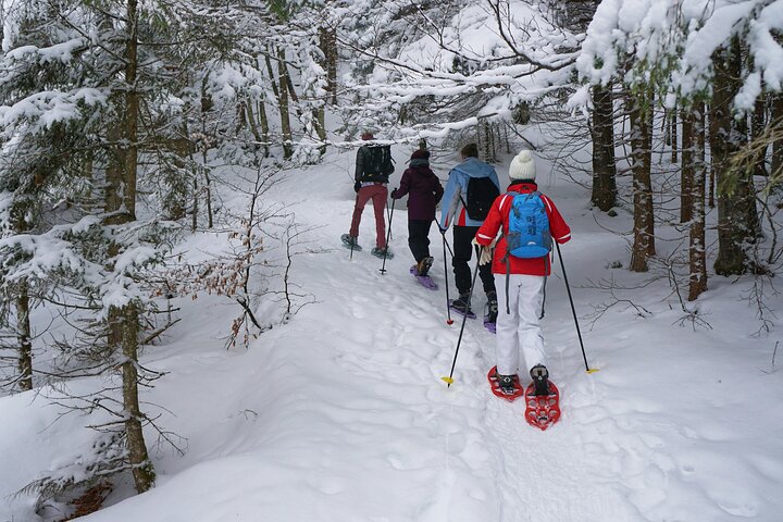 Private VIP Tongariro Overnight Snowshoeing Tour