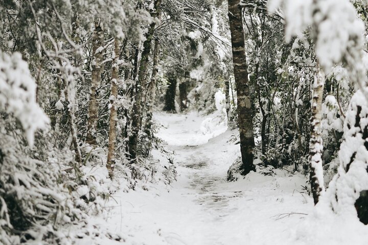 Private VIP Tongariro Overnight Snowshoeing Tour