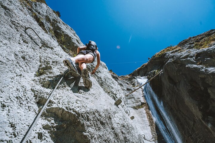 Wildwire Wanaka- Level 2 (4 Hours)