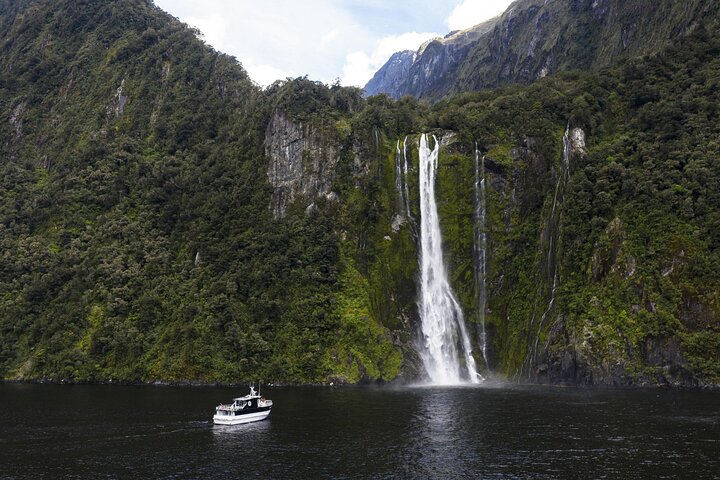 Premium Milford Sound Cruise Including Lunch