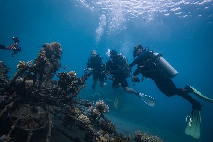 Try Dive Program in the Biorock Pemuteran