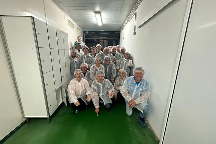 Visit and Gastronomic Experience of the Santoña Anchovy Factory