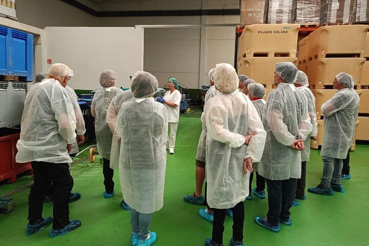 Visit and Gastronomic Experience of the Santoña Anchovy Factory