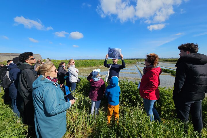 Visit to Saline - Guérande Salt Marshes