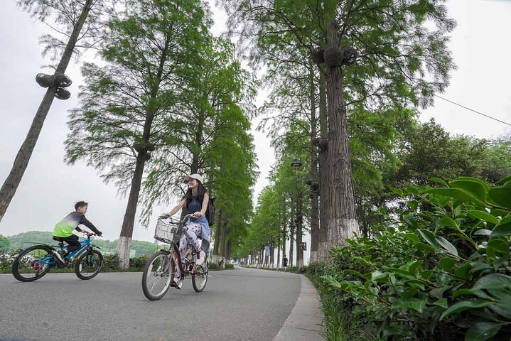 Changsha Private Guided Tour: Explore the Must-Sees in One Day