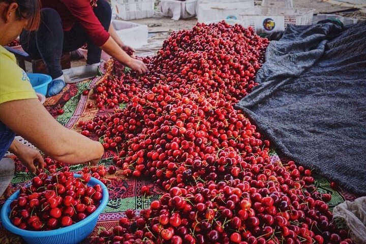 Changsha Walking Food Tour with Private Guide