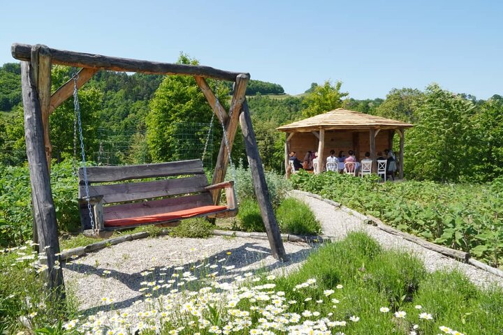Private Aroma-Tasting Experience in Vida′s Garden, Maribor
