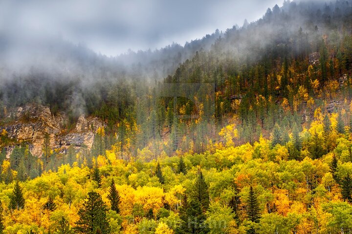Devil's Tower & Deadwood with Spearfish Canyon Picnic