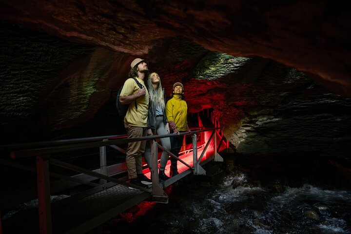 Te Anau Glow Worm Caves Tour