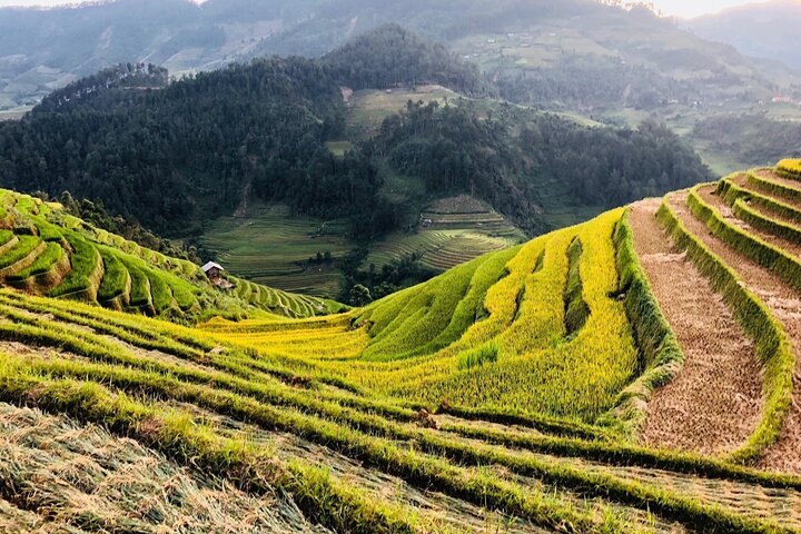 Private Full Day Tour in Sapa by Car