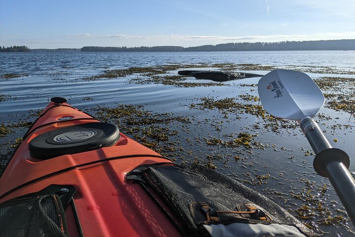 Oyster Tasting and Kayak Tour