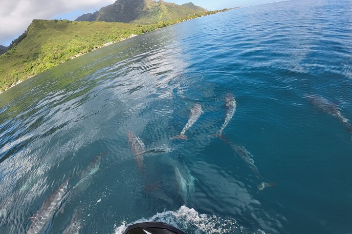 Moorea Solo or Twin 3 hours Jet Ski Tour