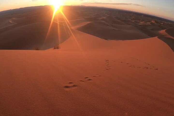 Sahara ATV Quad & buggy in Merzouga Desert & Sandboarding