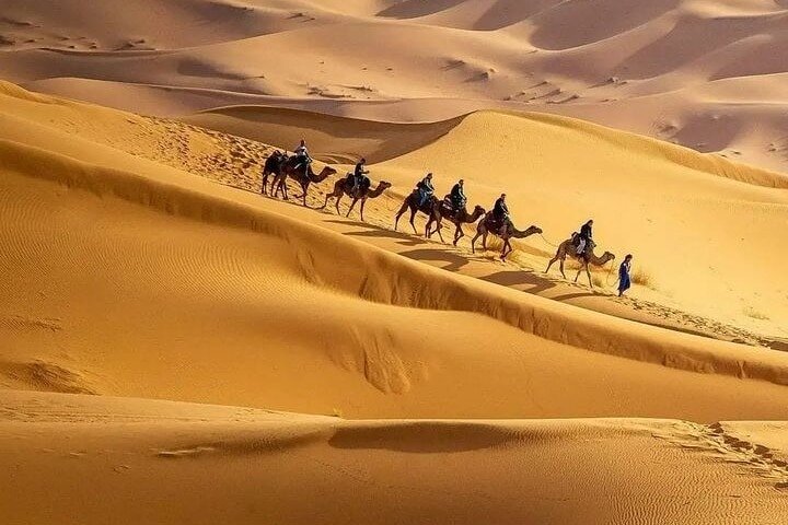 Sahara ATV Quad & buggy in Merzouga Desert & Sandboarding