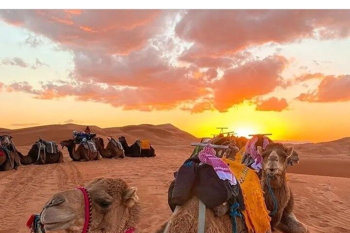 Sahara ATV Quad & buggy in Merzouga Desert & Sandboarding