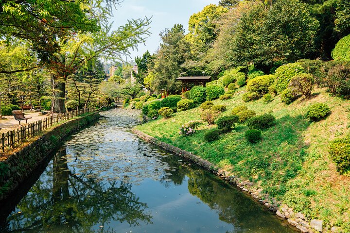 Matsuyama Private Customizable Half Day Tour
