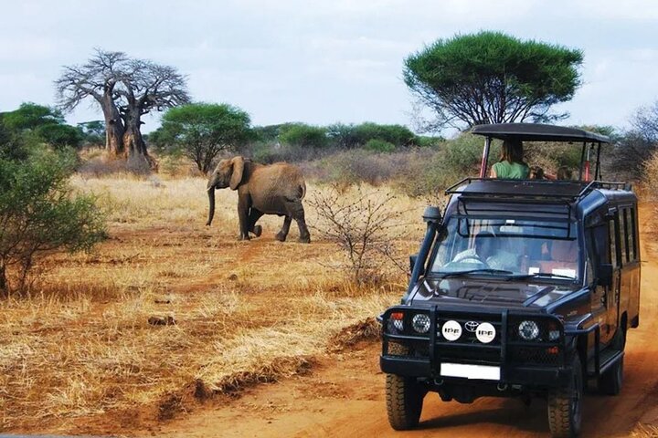 Hluhluwe Imfolozi Big 5 Game Reserve Tour from Durban