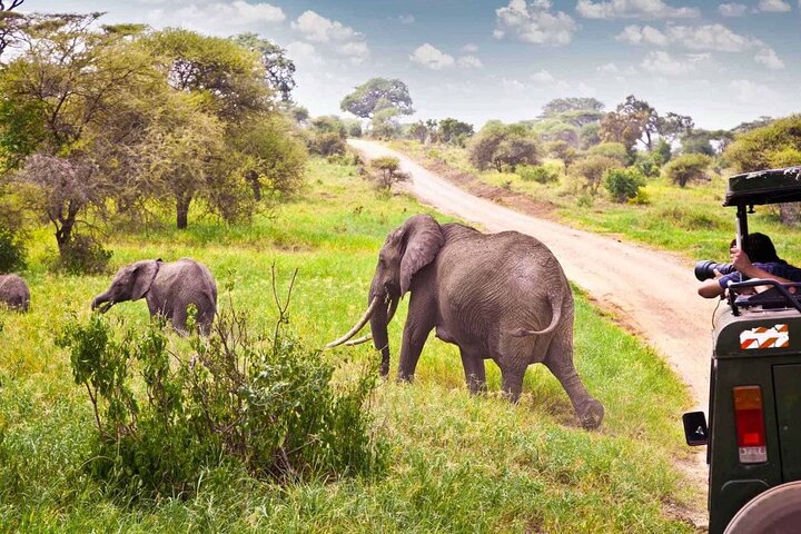 Hluhluwe Imfolozi Big 5 Game Reserve Tour from Durban