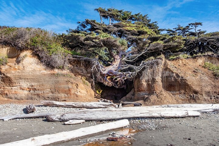 Olympic National Park Self-Guided Audio Tour