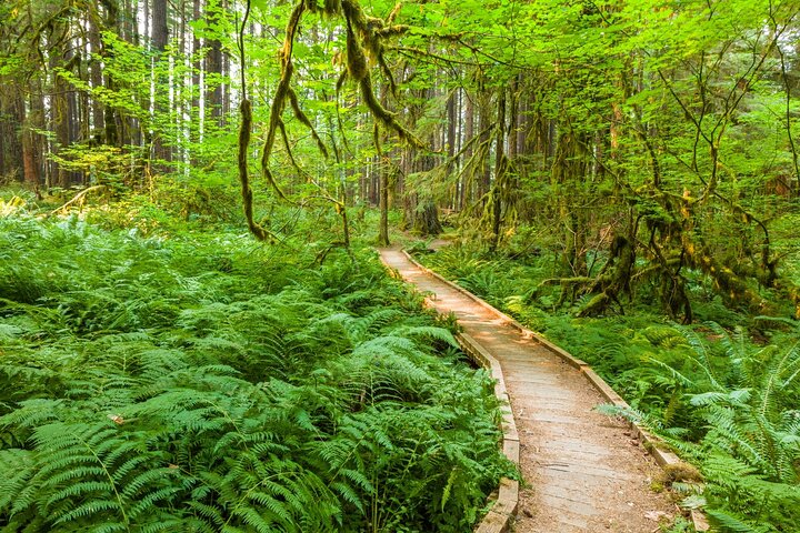Olympic National Park Self-Guided Audio Tour