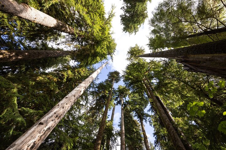Olympic National Park Self-Guided Audio Tour