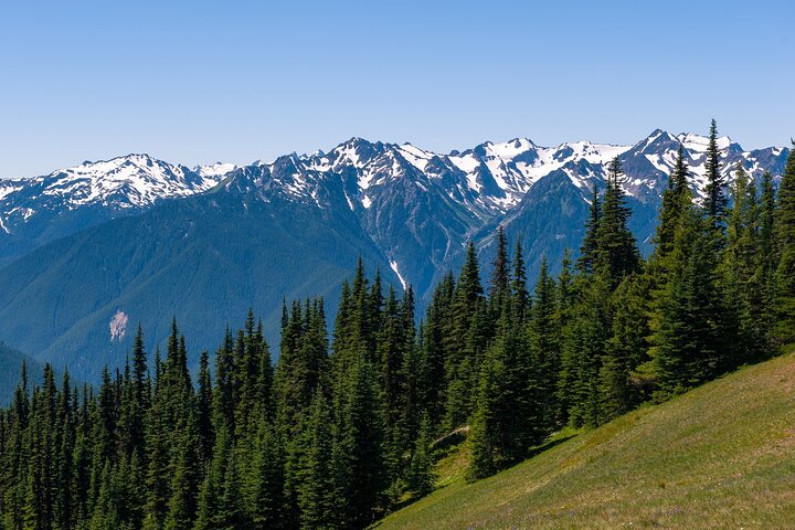 Olympic National Park Self-Guided Audio Tour