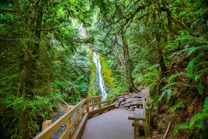 Olympic National Park Self-Guided Audio Tour