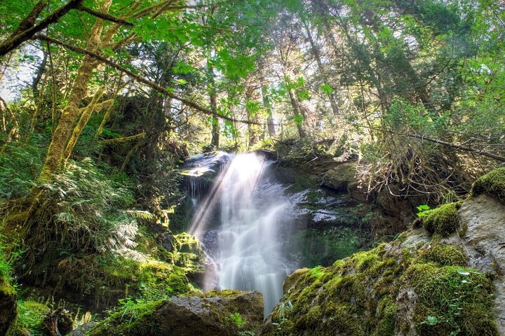 Olympic National Park Self-Guided Audio Tour