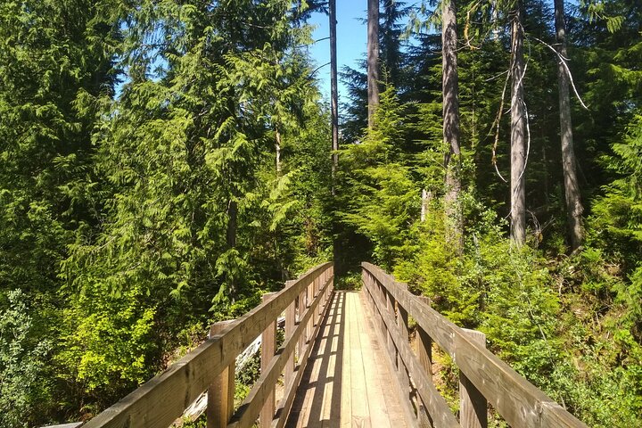 Olympic National Park Self-Guided Audio Tour