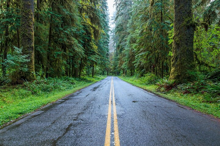 Olympic National Park Self-Guided Audio Tour