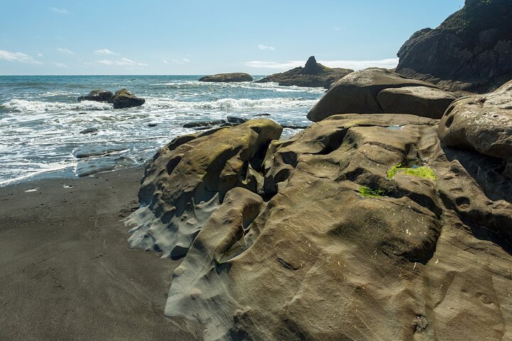 Olympic National Park Self-Guided Audio Tour
