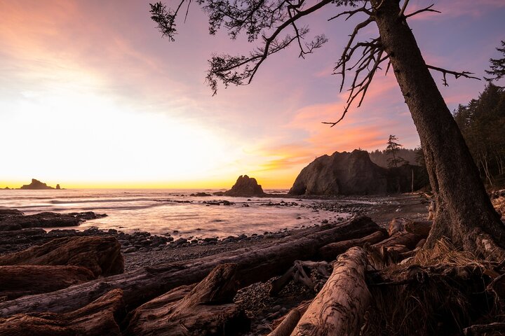 Olympic National Park Self-Guided Audio Tour