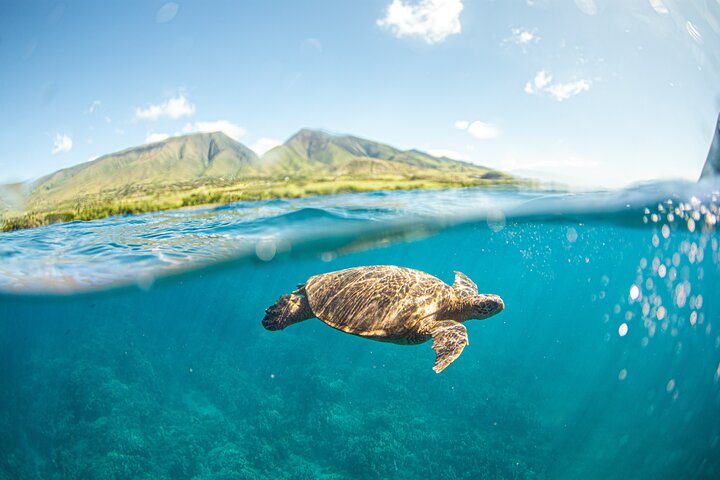 Snorkel Sail Adventure off Ka'anapali Beach in Maui