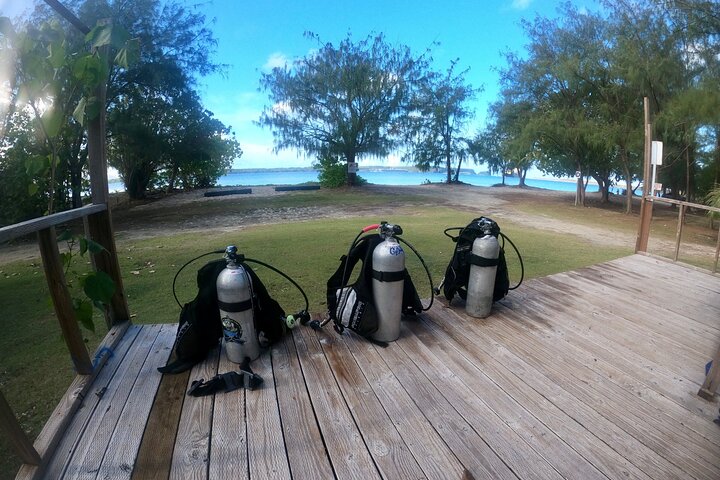 Experience Scuba Diving - No Certification Needed!