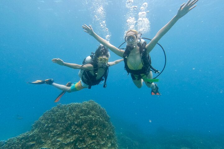 Experience Scuba Diving - No Certification Needed!