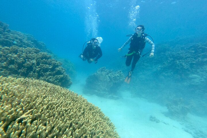 Experience Scuba Diving - No Certification Needed!