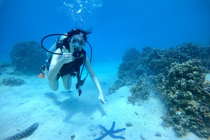 Experience Scuba Diving - No Certification Needed!