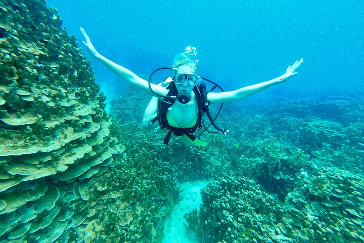 Experience Scuba Diving - No Certification Needed!