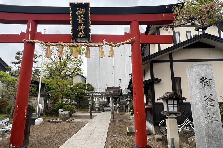 Local Food Tour in Shiogama, Japan Top Tuna and Sushi Town