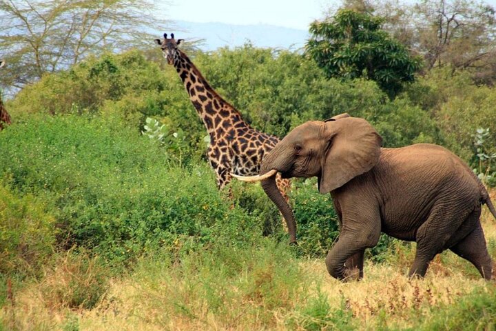 3 Day Garden Route Private Safari from Cape Town
