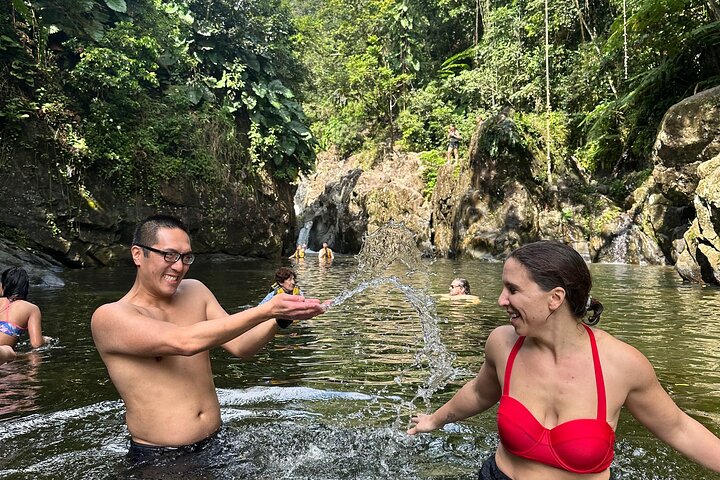 Immersive El Yunque Rainforest Adventure with Transportation