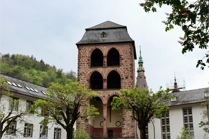 Heidelberg Walking Tour: Explore Top Sights & Hidden Gems